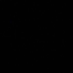 Meet your Posher, Mallory